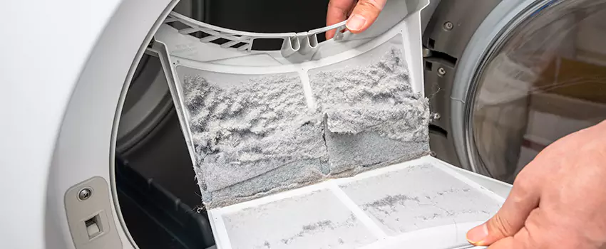 Best Dryer Lint Removal Company in Shafter, California